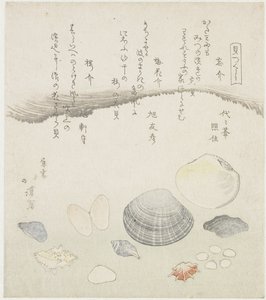 Concha esquecida, casca de ameixa e de cerejeira
Wasuregai, umenohanagai, sakuragai (título sobre o objecto)
Uma série de conchas (título da série)
Kaitsukushi (título da série sobre o objecto) de Totoya Hokkei