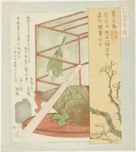 Warbler em uma gaiola, da série "A Series for the Hanazono Group (Hanazono bantsuzuki)" de Totoya Hokkei