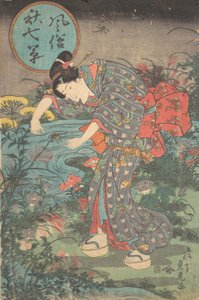 Sete plantas de outono da moda Fuzoku aki nanakusa, primeiro hal..., primeira metade do século XIX. de Toyohara Sadatora