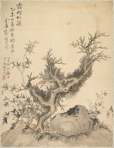 Ramos geados e bambu do anão, 1847. de Tsubaki Chinzan