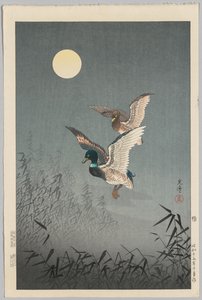 Vistas de Tóquio: Patos de Tsuchiya Kōitsu