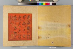 Álbum de falcões e caligrafia