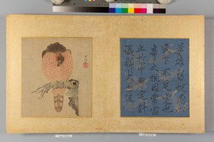 Álbum de falcões e caligrafia de Tsunenobu Kano