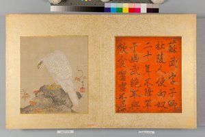 Álbum de falcões e caligrafia de Tsunenobu Kano