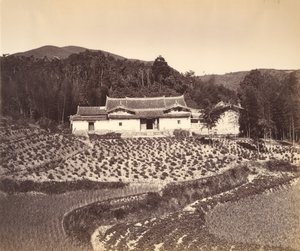 Teafield & Josshouse em Peling, ca. 1869. de Tung Hing.