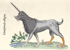 Representação de uma igreja, monstro das Ilhas Molucas Gravura de Ulisse Aldrovandi (1522-1605), "Monstrorum Historiae", Bolonha 1642