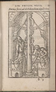 Do aparelho alquímico: Os segredos da natureza, 1556-1557 de Ulstadius