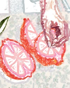 Citrinos Rosa e de Mão de Uma Gokhale