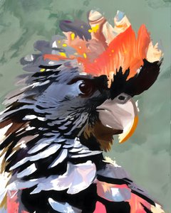 Cacatua Preta Vibrante de Uma Gokhale