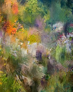 Abstrato de um jardim vibrante de Uma Gokhale