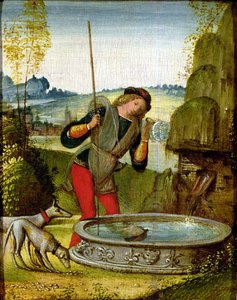 Narciso