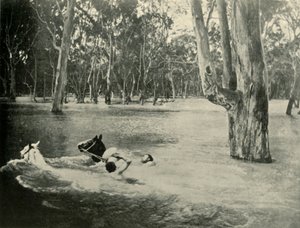 Um banqueiro, 1901. de Unbekannt