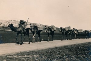 Um trem de camelo com destino a Damasco, 1936 de Unbekannt