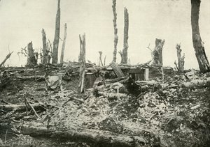 Uma escavação no que antes era uma floresta silvestre, 1919. de Unbekannt