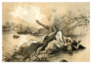 Um incidente terrível, 1883 de Unbekannt