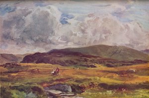 Um Caminho Sobre os Campos, 1881, 1937 de Unbekannt