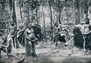 Uma aldeia pigmeu, Bacia do Nordeste do Congo, 1912 de Unbekannt
