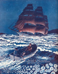 Um mar iluminado por luzes noturnas vivas, 1935 de Unbekannt