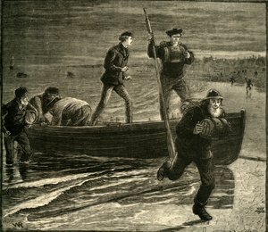 Uma expedição de contrabando, 1881. de Unbekannt