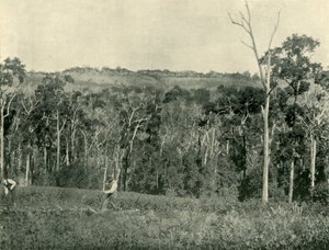 Uma fazenda de montanha vitoriana, 1901. de Unbekannt