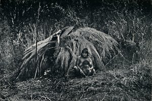 Uma cabana Yaghan em Fuegia, 1911 de Unbekannt