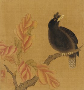 Um melro em um galho, folhas de outono, dinastia Qing, século XVIII. de Unbekannt
