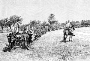 Um comboio de vagões, América do Sul, 1895 de Unbekannt