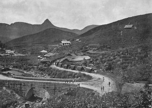 Plantação de chá Adamspik e Brownlow, 1926 de Unbekannt