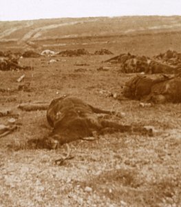 Após a cobrança, Beauséjour, norte da França, c1914-c1918 de Unbekannt