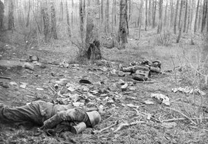 Rescaldo dos combates no parque de Plessis-de-Roye, Picardia, França, 30 de março de 1918 de Unbekannt
