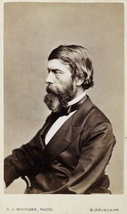 Alexander William Williamson, químico escocês, c 1865 de Unbekannt