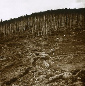 Alsácia, c1914-c1918 de Unbekannt