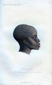 Amochi Galla, um retrato de um Galla, 1848 de Unbekannt