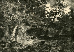 Uma antiga floresta alemã, 1890. de Unbekannt