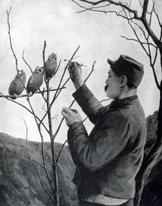 Uma decoração original de trincheira, França, Primeira Guerra Mundial, 1915 de Unbekannt