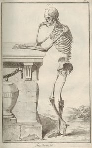 Anatomia. De Encyclopédie, de Denis Diderot e Jean Le Rond dAlembert, 1751-1765. de Unbekannt
