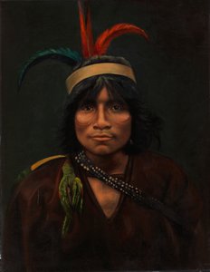 Índio Anishira, c. 1890-1892. de Unbekannt