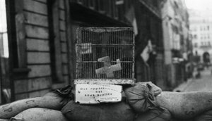Barricada na Rue de Chateaudun, libertação de Paris, agosto de 1944 de Unbekannt