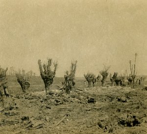 Campo de batalha, Maurepas, norte da França, c1914-c1918 de Unbekannt