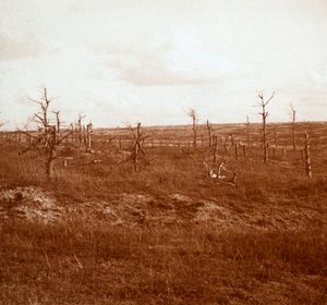 Campo de batalha, Tahure, norte da França, c1914-c1918 de Unbekannt