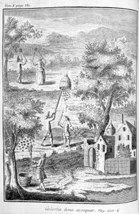 Apicultura, 1775 de Unbekannt