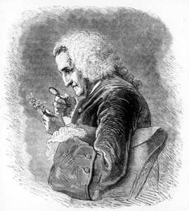 Bernard de Jussieu, botânico francês do século XVIII, 1880 de Unbekannt