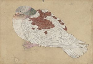 Pássaro, século XVIII. de Unbekannt