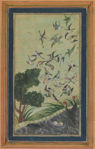 Aves em Baran, possivelmente do Babur-nama, final do século XVI. de Unbekannt