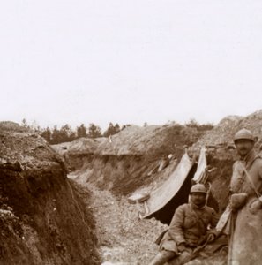 Bois de la Grille, norte da França, c1914-c1918 de Unbekannt