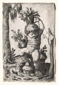 Menino com cesto de frutas, 1500 ou 1600. de Unbekannt
