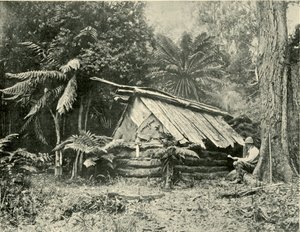 Bush Hut, Dandenong Ranges, Victoria, 1901. de Unbekannt