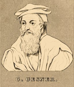 C. Gessner, 1516-1565, 1830. de Unbekannt