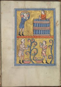 Calendário, setembro, homens colhendo e pisando uvas - Saltério de Eleanor de Aquitânia (ca. 1185) - KB 76 F 13, fólio 009v de Unbekannt
