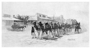 Equipe de camelos, Wilcannia, Nova Gales do Sul, Austrália, 1886 de Unbekannt
